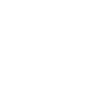 DraGNl's emblem