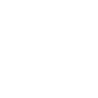 0_cITRIc_0's emblem