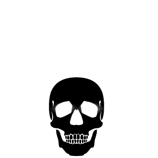 R1cROSS's emblem