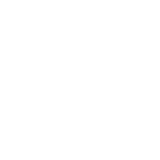 swagdusaussison3's emblem
