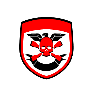 nighthawk9401's emblem
