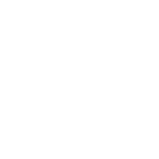 0LSD0's emblem