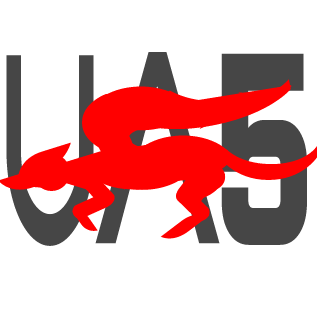 IRkdaroI's emblem