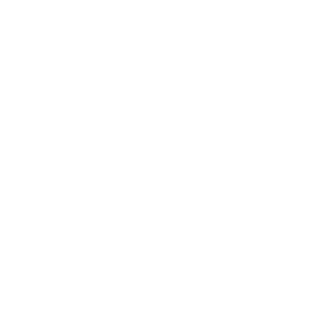 12ER39494990's emblem