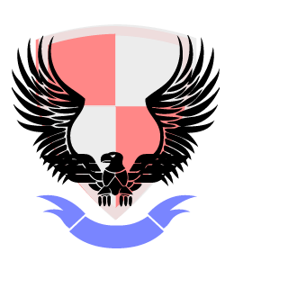 RagingHav3k's emblem