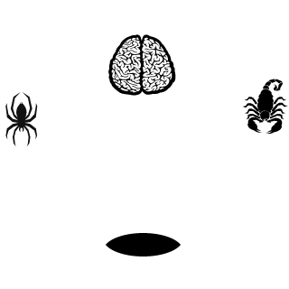 Isotre55's emblem