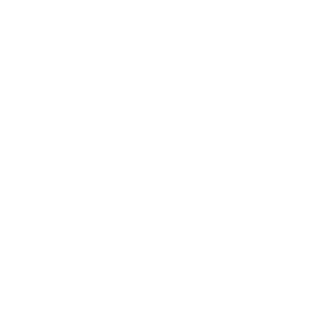 ndbv's emblem