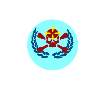 NYZFINEST2290's emblem