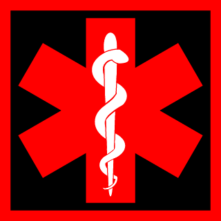 FlRE_1437K's emblem