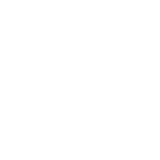 justiceiro2102's emblem