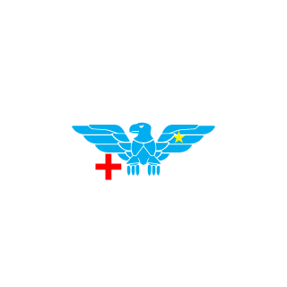 RogerLiu0920's emblem