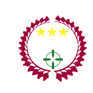 Raik1's emblem