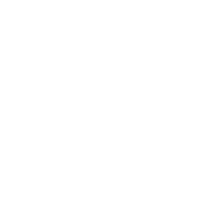 RVZola's emblem