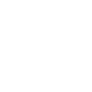 SanchoPansoZZZ's emblem