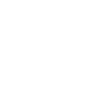 BUNTYHUNTER999's emblem