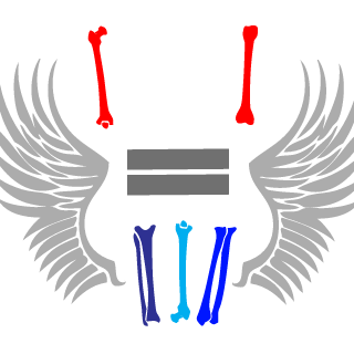 Panda2453's emblem