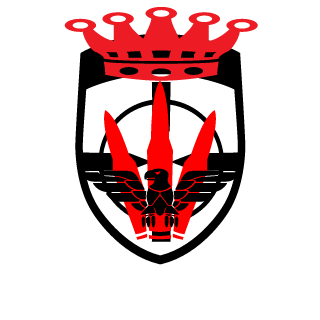 Riico9521's emblem