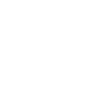 wangzrwm's emblem