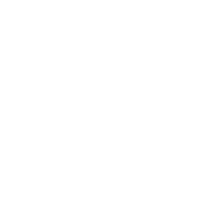 Syyvo's emblem