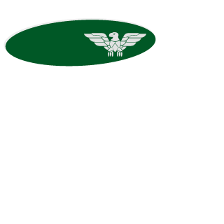 SandroSilva1988's emblem