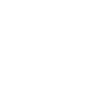 SOKOLOV52's emblem