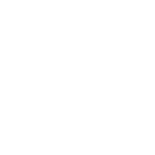 Anzio4's emblem