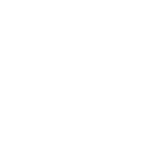 smokeyLung's emblem