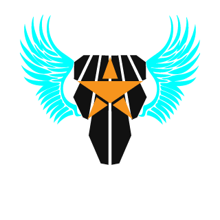 StarGuy96's emblem