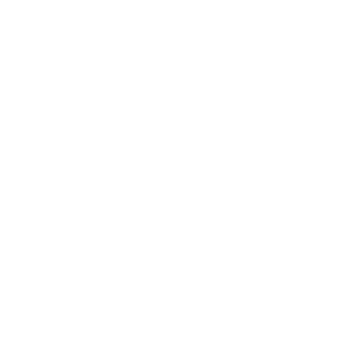 bomber99er's emblem