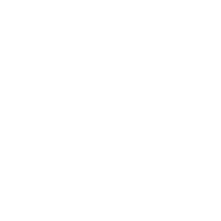 BlackBox152's emblem