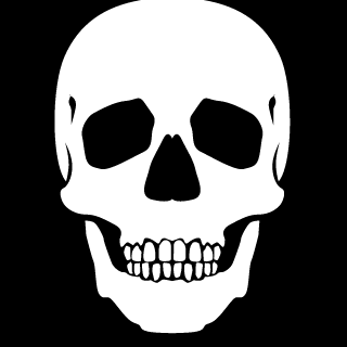 RIO_17r's emblem