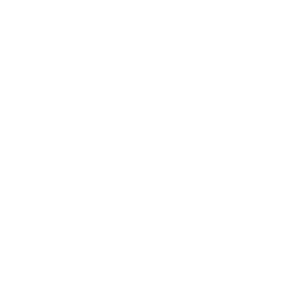 Fenix444's emblem