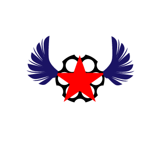 Birn00's emblem