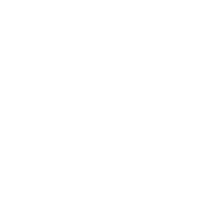 Tem234's emblem