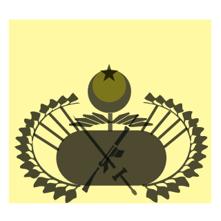 NirWanaTR's emblem