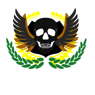 FabioC9800's emblem
