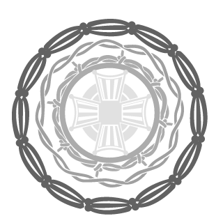 VieiraGhost147's emblem