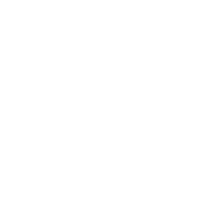 5453985's emblem
