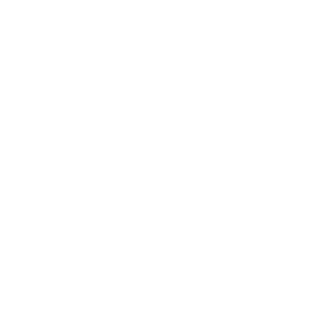 Rev4N1's emblem