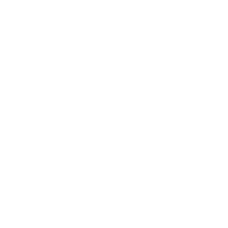 Nikitaxan2000's emblem