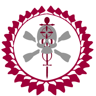 skok247's emblem