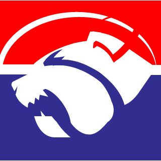 Space-NVader's emblem