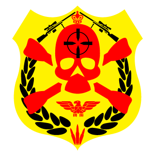 1projeto-de-jato's emblem