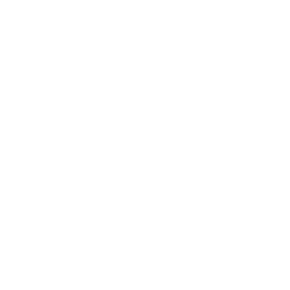 51ex's emblem