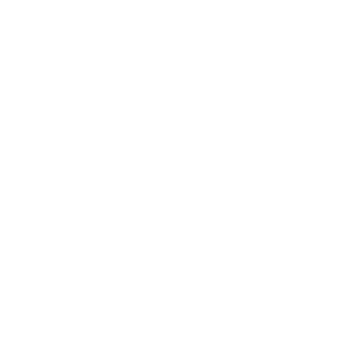 NeutronX2000's emblem
