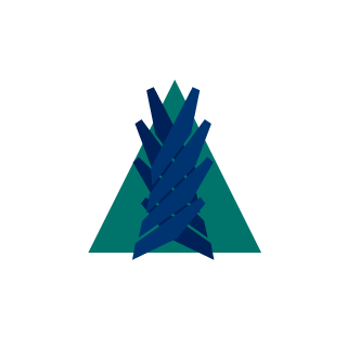 ElshinotwoxXd's emblem