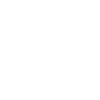 19Maestro84's emblem