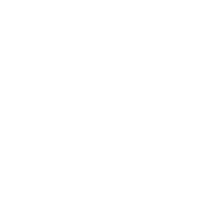 kfvnetti's emblem