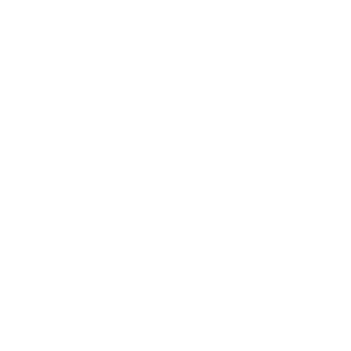 srgntpmnt's emblem