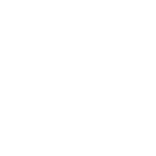 BrainNuggets's emblem
